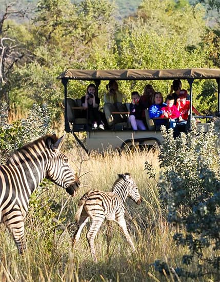 Tuningi Newsletter March 2012