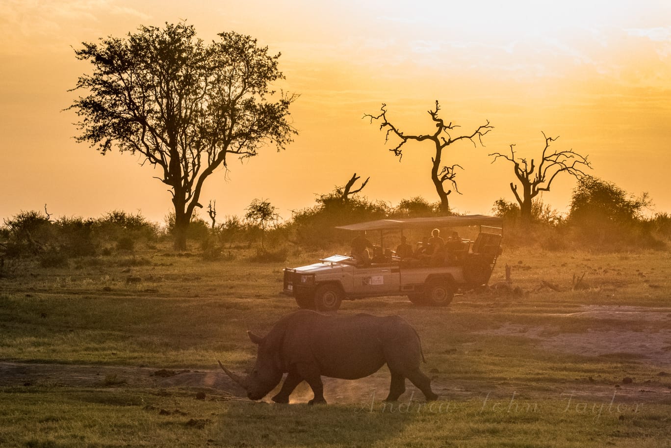Recent Game Drive Highlights