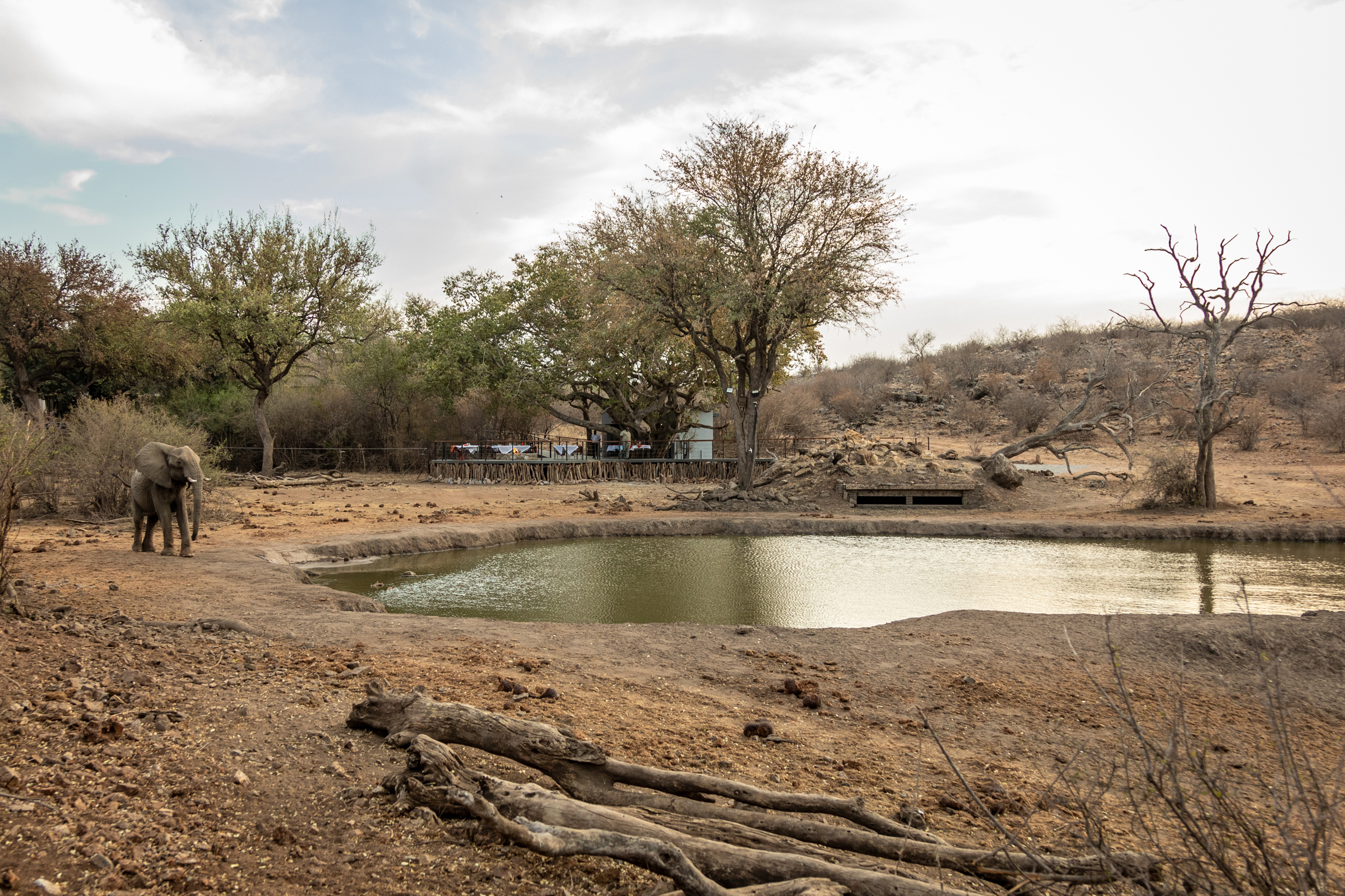 Below The Surface: Tuningi Safari Lodge’s Underground Hide