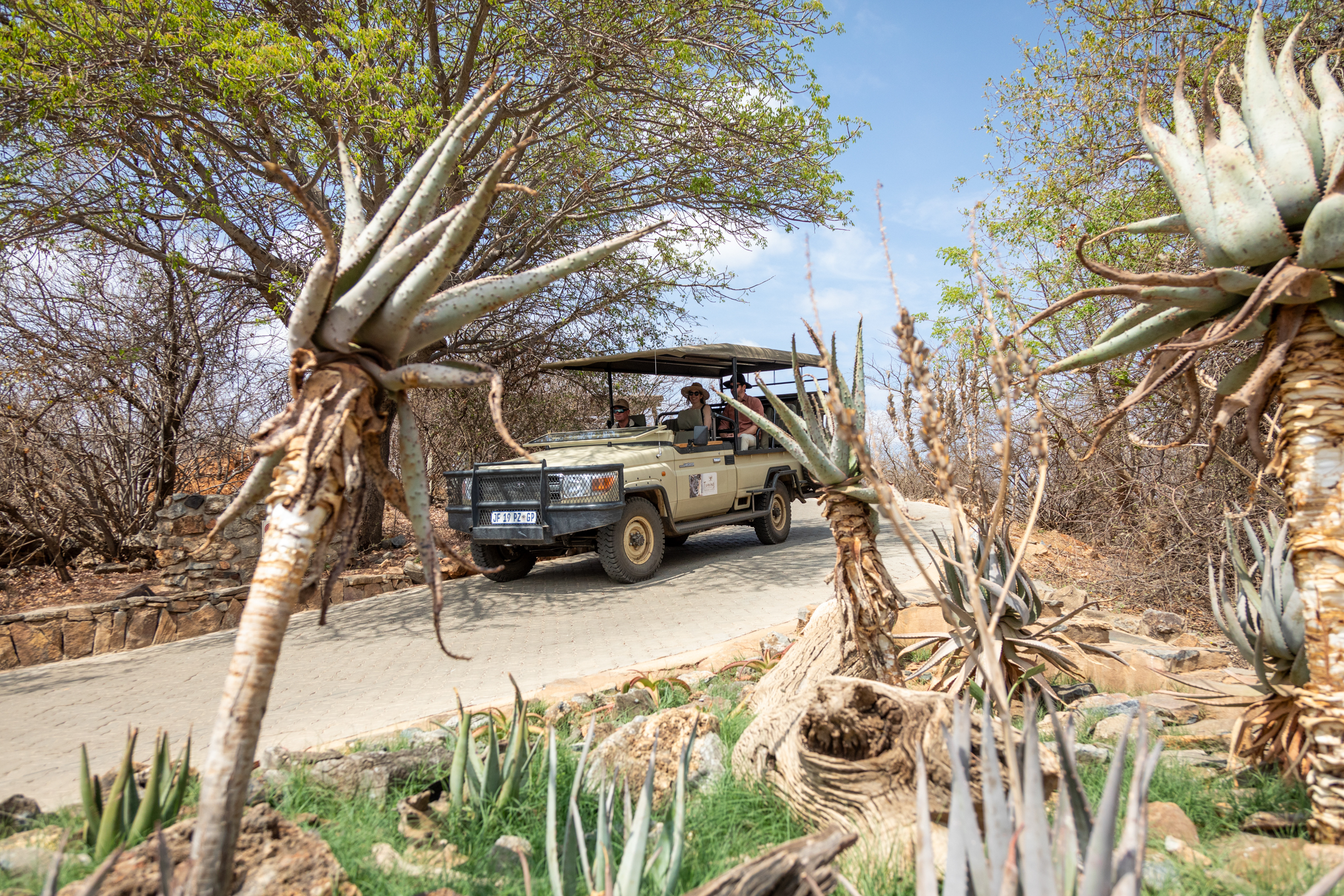 Why Madikwe is Ideal for First-Time Safari Travellers