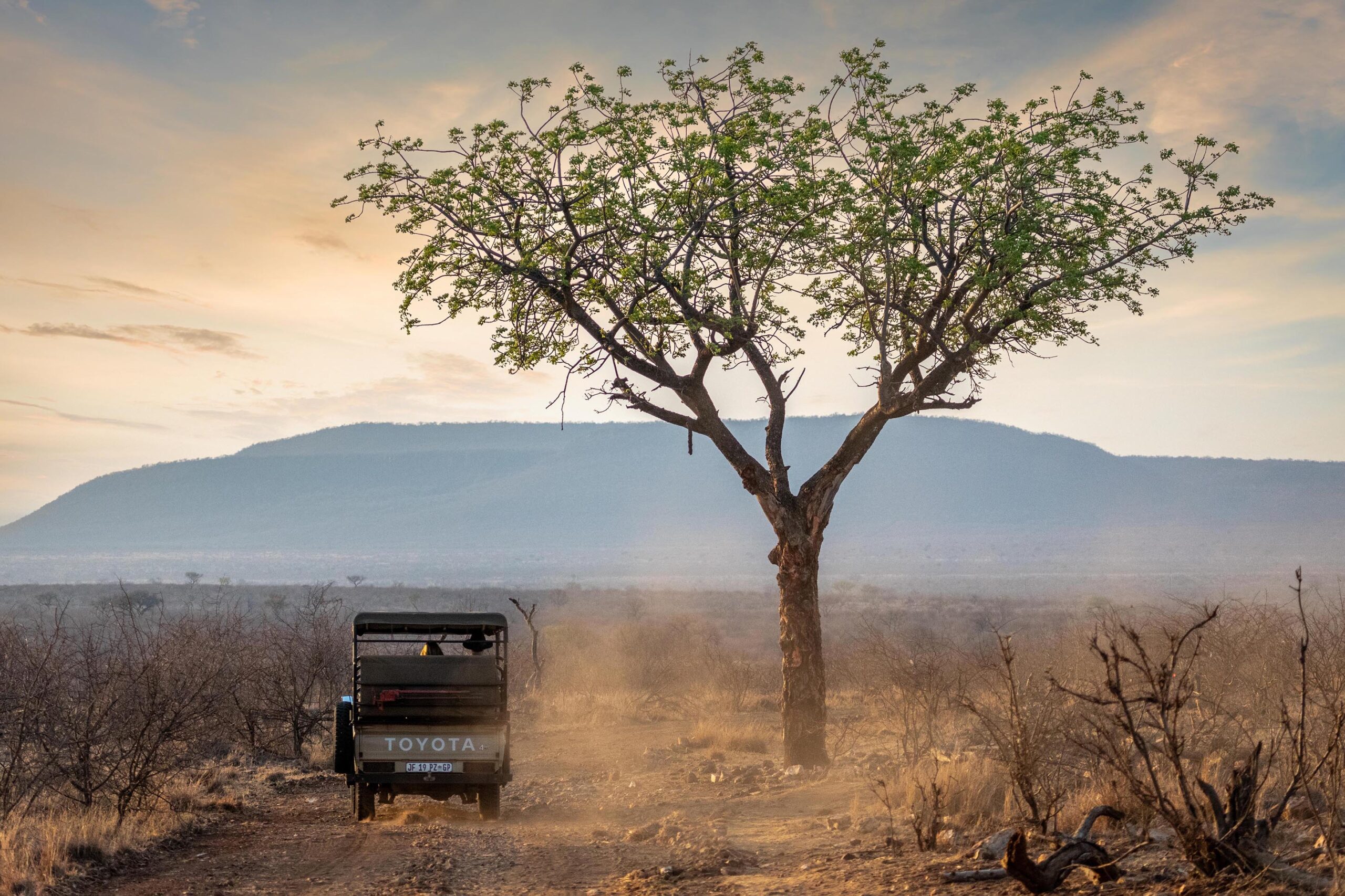 Family Safaris Made Easy